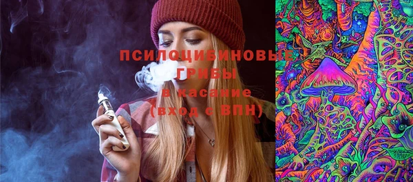 гидропоника Гусиноозёрск