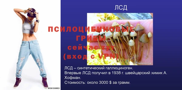 PSILOCYBIN Гусев
