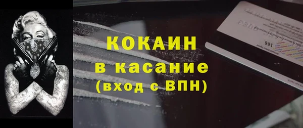 гидропоника Гусиноозёрск