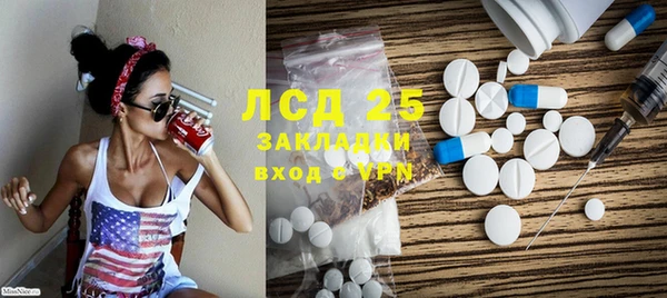 гидропоника Гусиноозёрск
