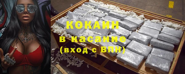 PSILOCYBIN Гусев