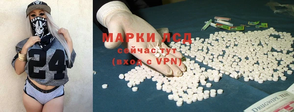 гидропоника Гусиноозёрск